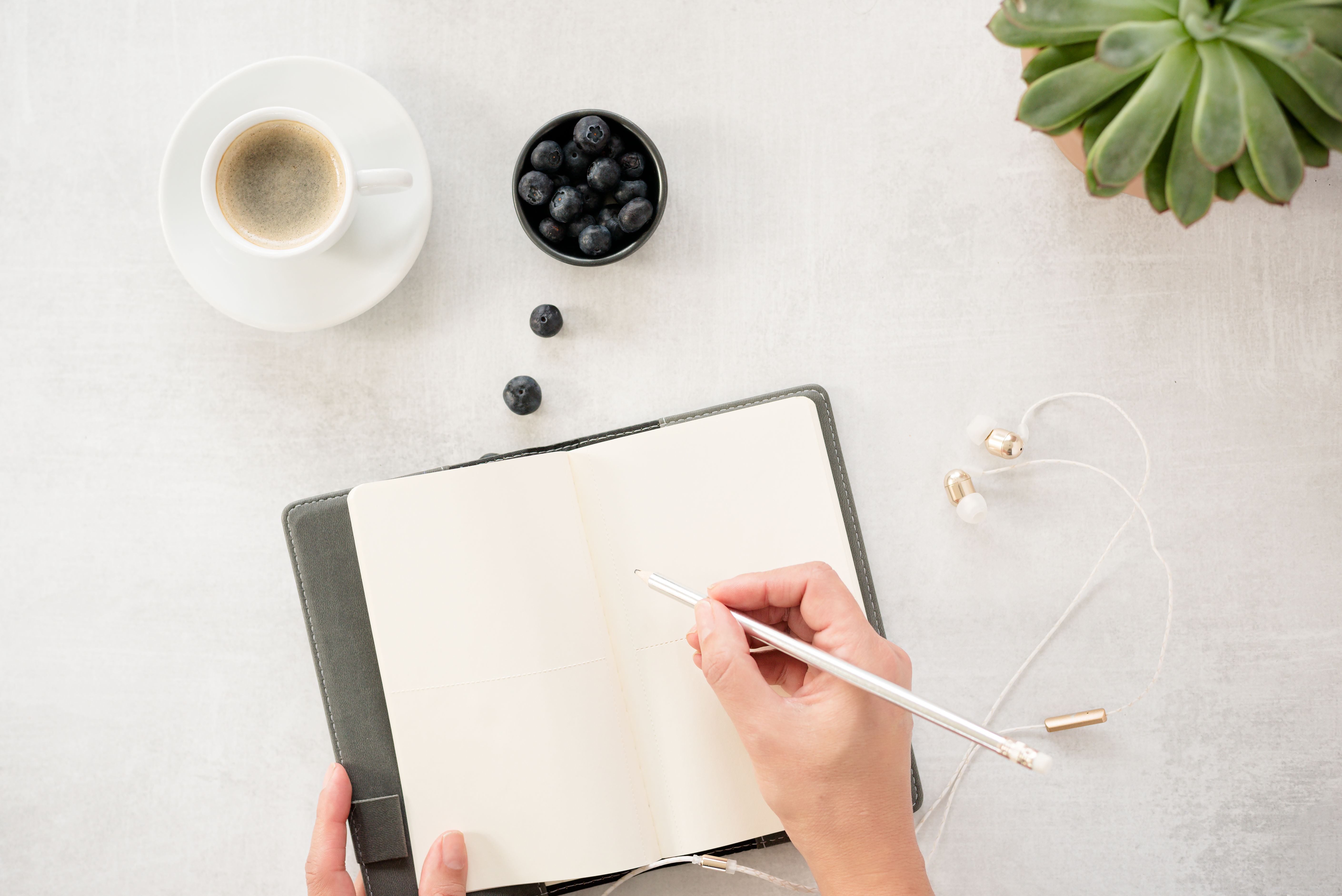 An open notebook beside coffee, blueberries, and a plant.